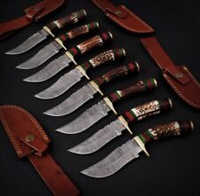 8” LOT OF 10 CUSTOM HAND FORGED DAMASCUS STEEL HUNTING SKINNER KNIFE STAG ANTLER picture