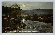 Cooks Falls NY-New York, Panoramic View BeaverKill, Antique Vintage Postcard picture