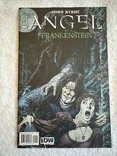 Angel Vs. Frankenstein Issue #1 IDW Comics 2009 John Byrne Art and Story picture