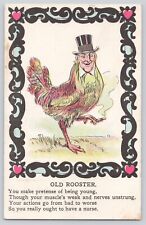 Postcard Vinegar Valentine Old Rooster Vintage Antique Vintage 1908 picture