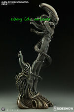 Perfect Sideshow Alien Internecivus Raptus 200464 Statue Figure In Stock New Toy picture