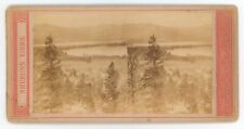 c1900's Real Photo Stereoview Mountain Valley View Pine Trees. Possibly Colorado picture