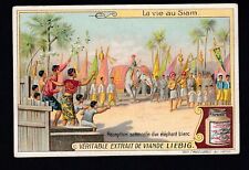 THAILAND: Vintage 1909 SIAM Trade Card SOLEMN RECEPTION OF THE WHITE ELEPHANT picture