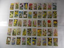 Wills Cigarette Cards Wild Flowers 1st Series 1937 Complete Set 50 picture