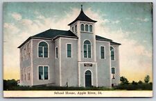 Apple River Illinois~Apple River School House~c1910 Postcard picture