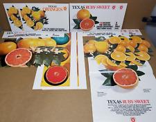 Lot Of Vintage Texas Sweet Citrus Advertising Material Paper Ephemera Posters picture