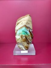 Rare mix color opalized petrified wood polished with base 1230gr 8x9x16cm (81) picture