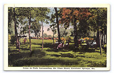 Park Surrounding Elms Hotel Excelsior Springs Mo. Missouri c1917 Postcard picture