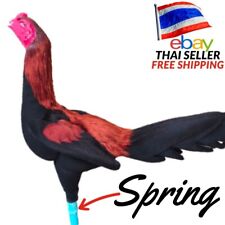 NEW Rocking doll spring Chicken Cock cute doll Thai fabric Realistic red/black picture