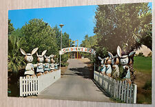 Vintage Postcard Phoenix Zoo Children’s Zoo Rabbits Chrome picture