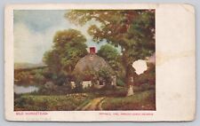 Vtg Post Card Old Homestead F172 picture