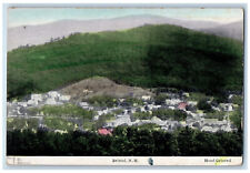 c1910 Aerial View Buildings Houses Mountain Bristol NH Hand Colored Postcard picture