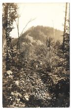 Real Photo Vermont VT Deer Leap & Pico Trail Vintage RPPC Postcard picture