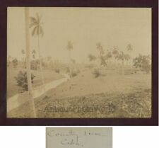 Country scene farmers landscape antique albumen photo Cuba picture