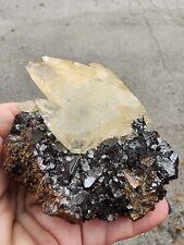 Calcite on Sphalerite, Elmwood Mine, Carthage, Smith Co., Tennessee, USA picture