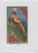 1910 ITC of Canada Game Bird Series C14 Pheasants #7 z6d picture