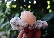 STILBITE On APOPHYLLITE & CHALCEDONY Coral Minerals A-4.24 picture