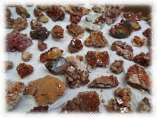 Whole Flat Collection  -  Vanadinite on Matrix Crystal Specimen Lot Morocco picture