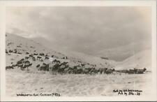 RPPC Postcard Washington Elk Chinook Pass WA  picture
