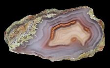 Amazing Banded Laguna Agate From Mexico Collectors Grade picture