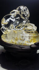 8.73LB Natural Yellow Gumflower Clear Quartz Crystal Hand Carved Pig Skull+stand picture