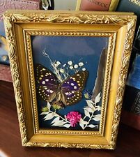 Real Butterfly Witchy Vintage Gold Framed Art Taxidermy Handmade picture