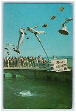 c1960's Feeding Time Gulfarium Walton Beach Florida Vintage Antique Postcard picture