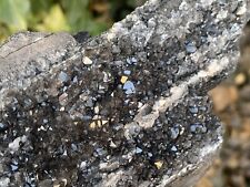 ☘️RR⛏️: Arizona Petrified Wood W/Dark Natural Smoky Quartz Crystals, 1.75 Lb picture