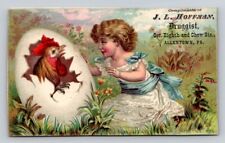 Fantasy Girl Chicken Hatching From Egg J L Hoffman Druggist  Allentown PA P35 picture