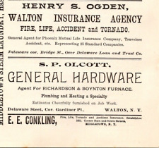 1900 HENRY S OGDEN WALTON INSURANCE  S P OLCOTT GENERAL HARDWARE WALTON NY picture