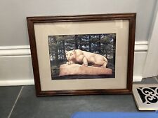 signed 1991 craig witter print The Penn State Nittany Lion picture