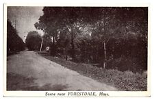 Antique Scene Near Forestdale, Dirt Road Landscape, MA Postcard picture