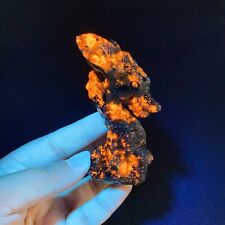 1pc Natural Yooperlite Dragon Head Crystal Quartz Stone Fluoresce Sodalite picture