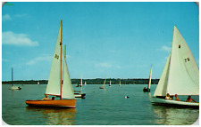 Postcard Chrome Sailboat Race Canandaigua Lake Yacht Club NY picture