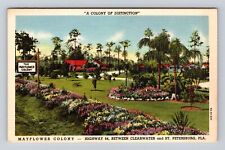 St Petersburg FL-Florida Mayflower Colony Advertising, Antique, Vintage Postcard picture