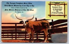 Largest Longhorn Steer New Mexico Museum Of The Old West Vintage Postcard picture