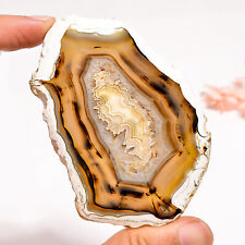 292Cts. Natural Montana Agate Fancy 84X55X7 mm Cabochon Loose Gemstone picture