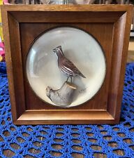 Vintage Signed William Reinbold Carved Quail Diorama In Domed Glass RARE  picture