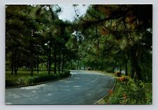 Postcard Boulevard In The Garden Of The Diaoyutai State Guesthouse Beijing China picture