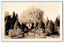 c1930's Ghost Tree Lambert Gardens Flowers Portland OR RPPC Photo Postcard picture