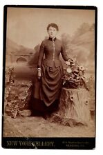 C. 1880s CABINET CARD NEW YORK GALLERY YOUNG LADY IN DRESS READING PENNSYLVANIA picture