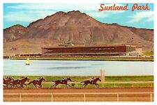 Sunland Park New Mexico Desert Southwest Unp Wob Chrome Postcard picture