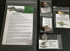 Dinosaur Fossil Pack REAL DINOSAUR Fossils -  Egg Shell, Bone, Coprolite, Tooth picture
