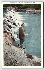 c1920 SPRING MOUNT PA FISHERMAN'S PARADISE FLY FISHING W R KINDIG POSTCARD P4106 picture