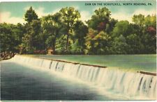 Picturesque Dam on The Schuylkill, North Reading, Pennsylvania Postcard picture