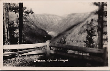 RPPC c1930s Colton State Park PA Viewpoint Pine Creek Gorge Canyon Log Fence UNP picture