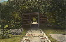 Garden Walk ~ Green Hill Park ~ Worcester Massachusetts ~ unused c1910 postcard picture
