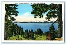 c1910's Lake Tahoe Through The Pines California CA Posted Antique Postcard picture