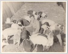 1940s-1950s Female Farmer Feeding Pigs~Livestock~Homestead Farm~VTG Photo picture