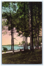 c1910 Upper Lake Bathing Beach Lily Dale Assembly New York Hand-colored Postcard picture